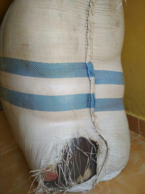 Kasur Inoac Yukata 200x160x30 Garansi 15 Tahun