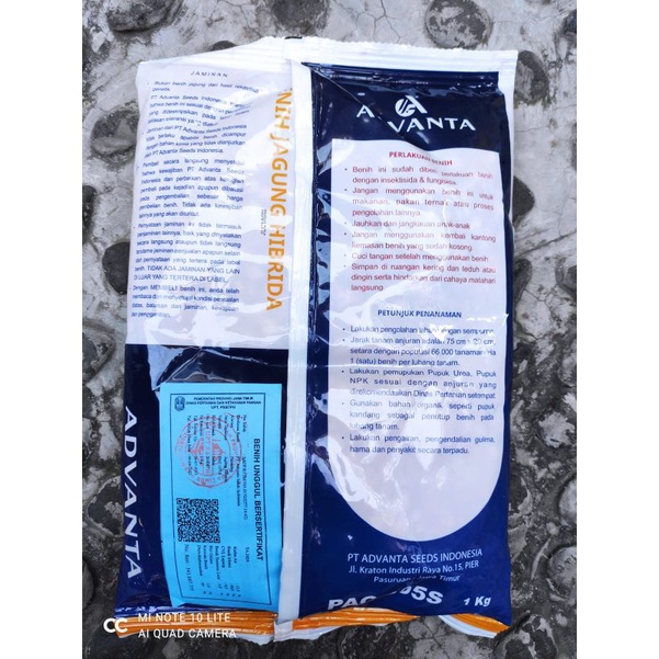 Benih Jagung ADV BEJO isi 1kg dari Advanta