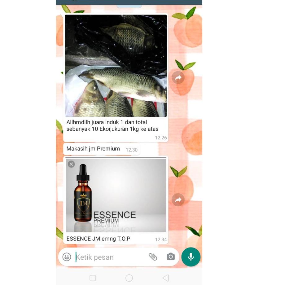 ☺ ESSENCE JM PREMIUM 30 ML ♨