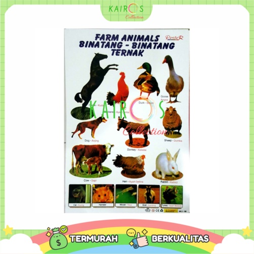 Poster Anak Edukasi Belajar Farm Animal Binatang Ternak