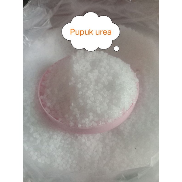 Pupuk Urea Daun dan buah