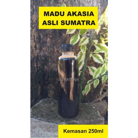 

Madu Akasia Asli Sumatra - Madu Murni kemasan 250ml