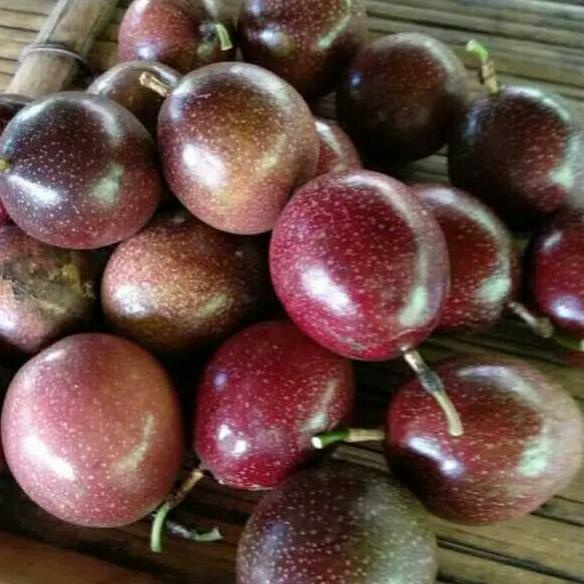 

[PROMO HWN59] Markisa Merah 500 gram Dijual Murah
