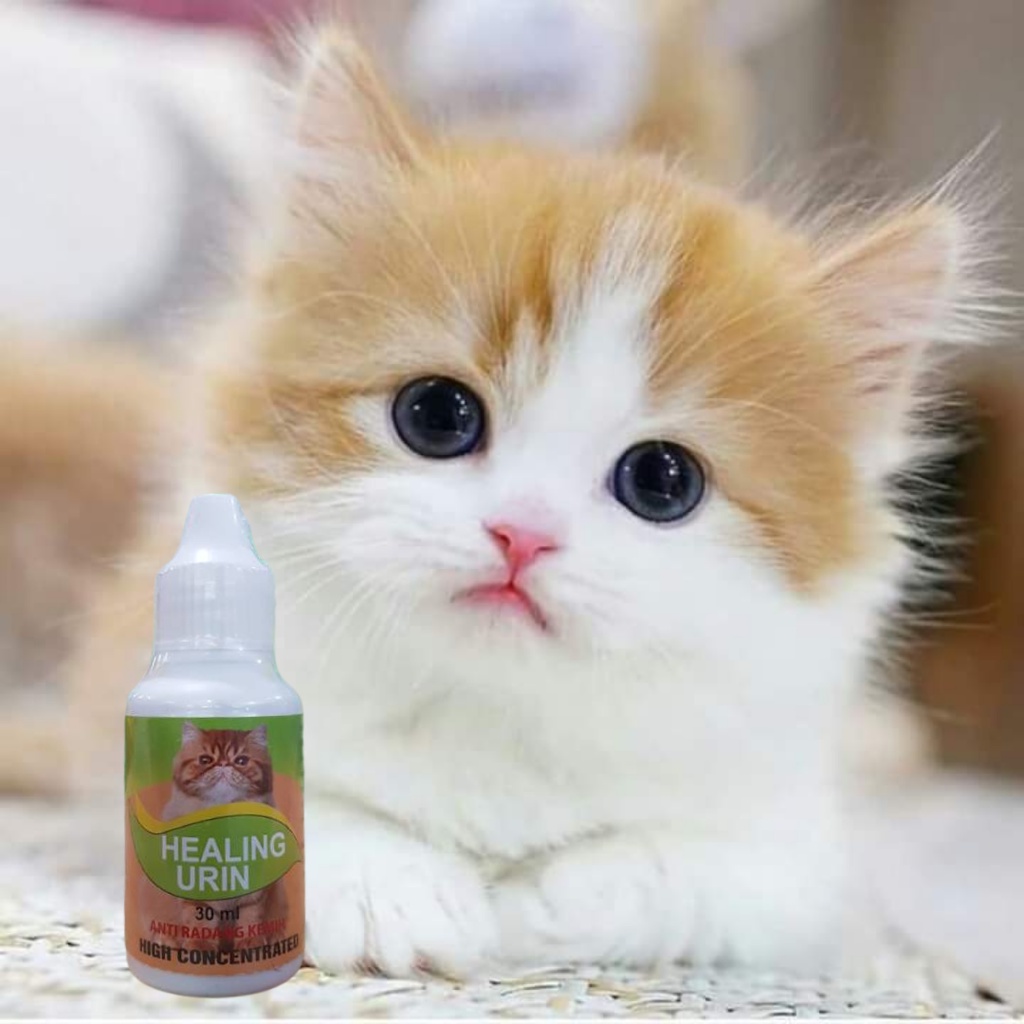 Obat Kencing Kucing/ Radang Saluran Kencing Kucing HEALING URIN DROP 30ML