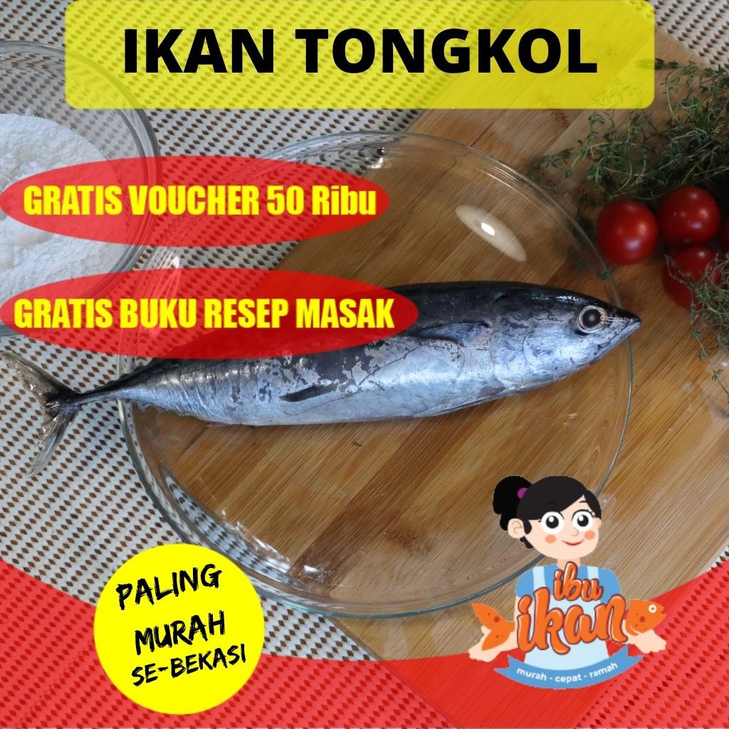 IKAN TONGKOL SEGAR 1 KG LAUT MIRIP BABY TUNA BELUM DI POTONG IRIS SISIK