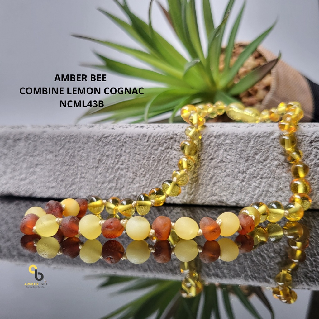 Kalung Amber Baltic Anak Premium Combine Lemon NCML43B By Amber Bee