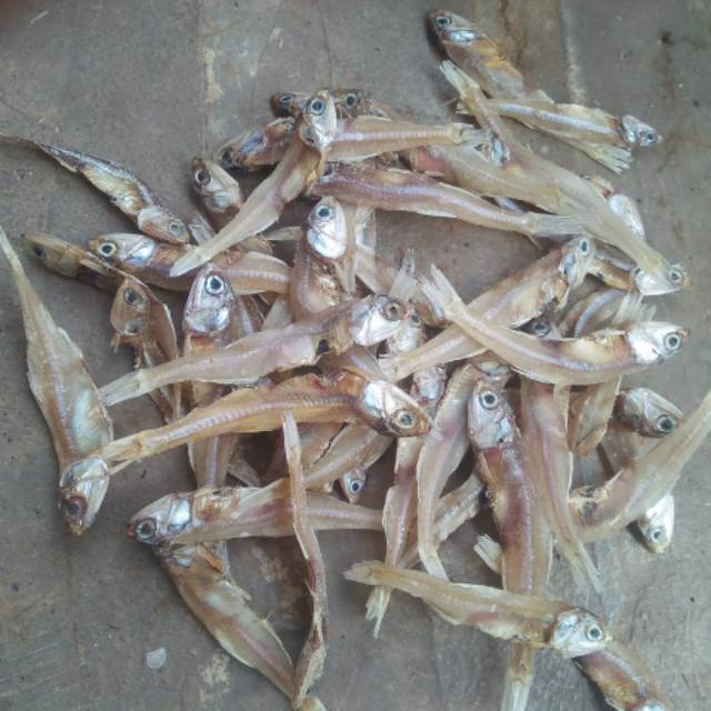 

Ikan teri tawar pilihan terbaik 1 kilogram