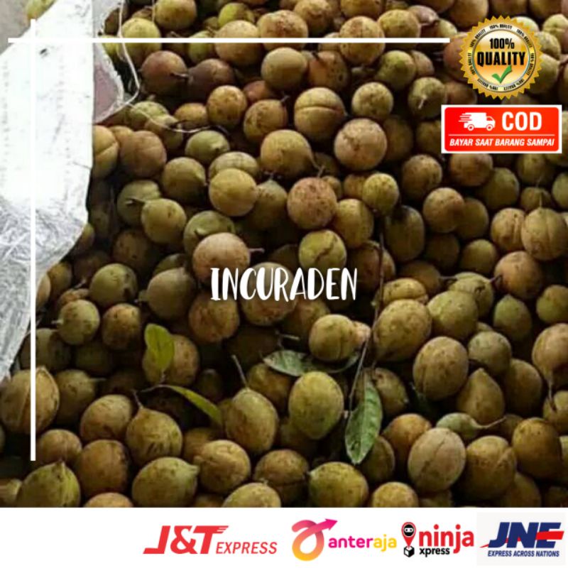 

BUAH PALA SEGAR 1kg