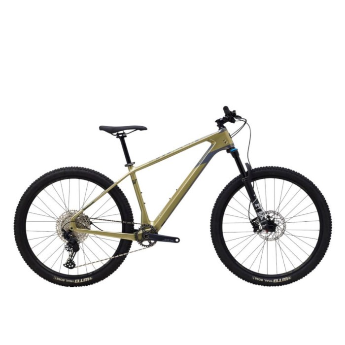 sepeda Gunung MTB frame carbon XC POLYGON SYNCLINE C5 tahun 2021