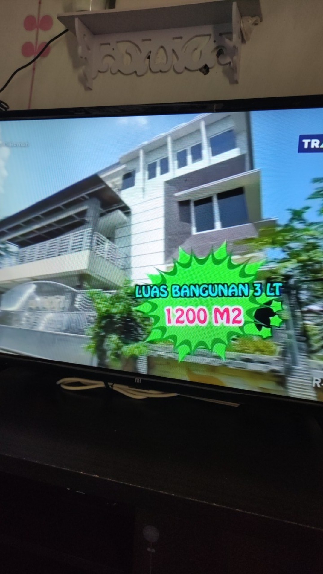 Semen Eceran Tigaroda