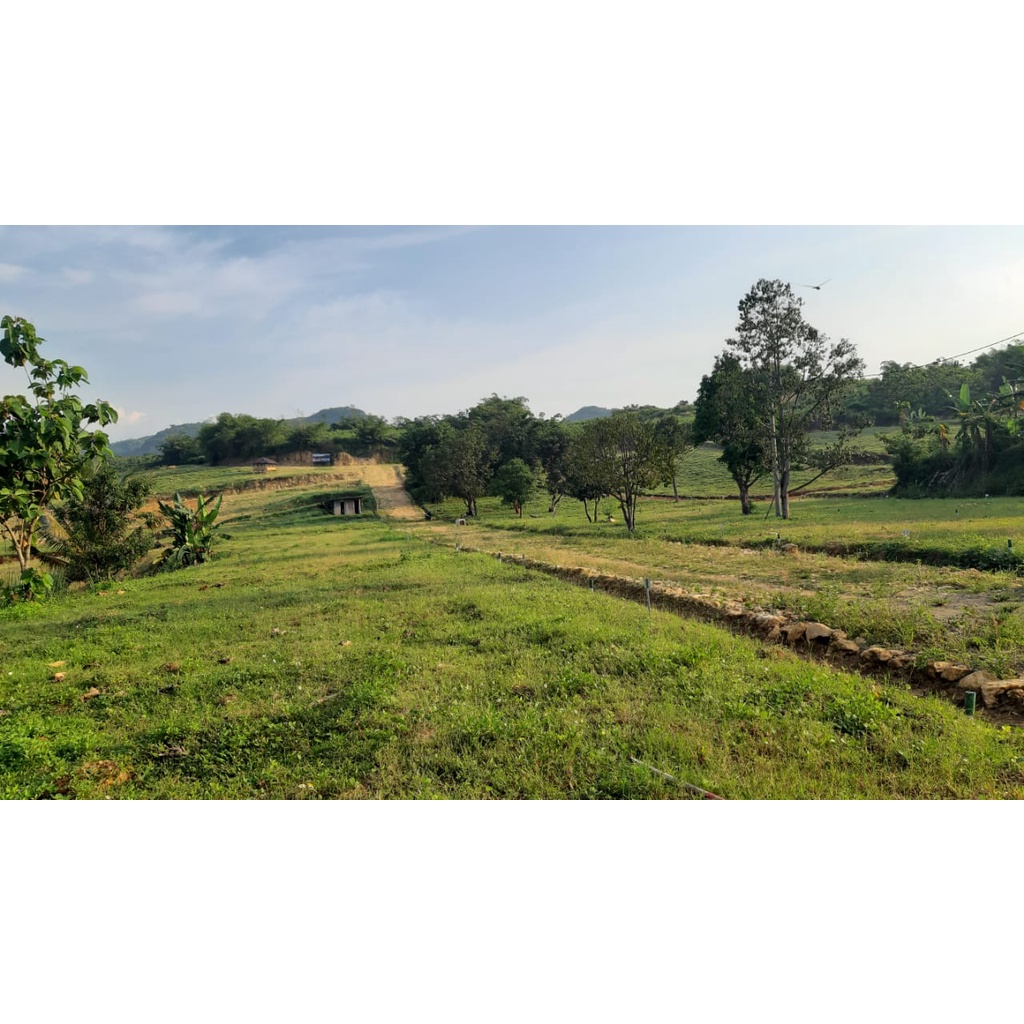 Tanah Kavling Murah Dekat Tol Cibubur