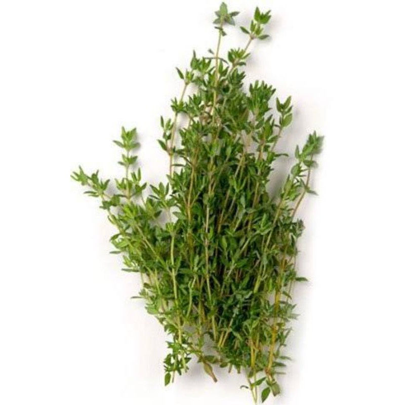 

Daun Thyme Segar, Fresh Thyme 50gr