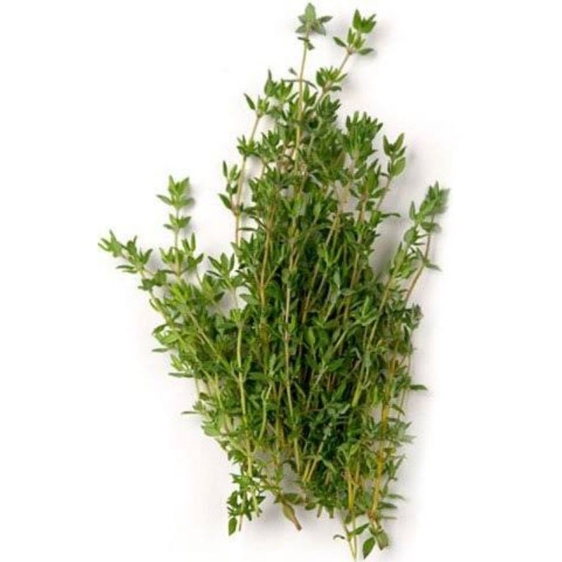 Daun Thyme Segar, Fresh Thyme 50gr