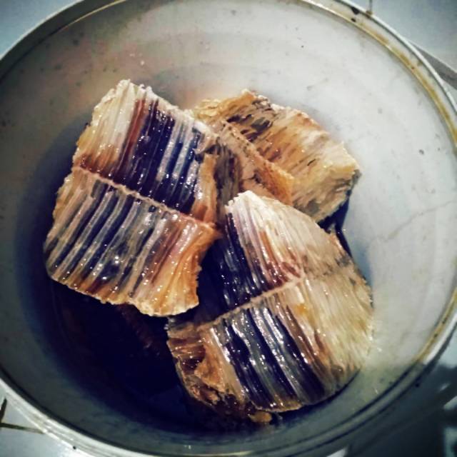 

Madu Hutan Asli