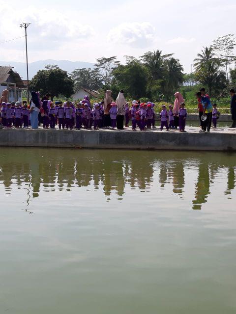 Ady Batik Hrb026 Kenongo Kemeja Tosca Pendek Pekalongan Padi M L Xl Sogan Tulis Halus Kemeja Batik