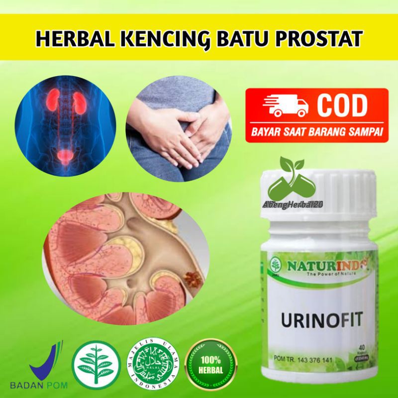URINOFIT obat herbal batu ginjal melancarkan kencing serta mengobati gagal ginjal dan cuci darah-1