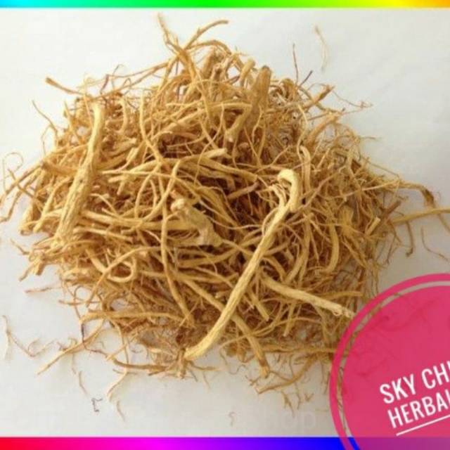 

(100 GRAM) Akar Ginseng Premium Penambah Stamina / Yang Shen Xu / ShenXu / Sem Si SemSi Som Chiu