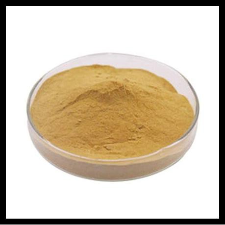 

Bubuk Lempuyang Murni 500 Gram Serbuk Puyang Zingiber Zerumbet Powder