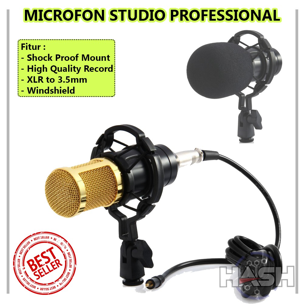 MIC STUDIO PROFESSIONAL RECORD