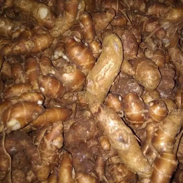 

KENCUR 250 GRAM