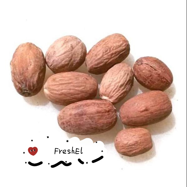 

FreshEl - BIJI PALA 4PCS