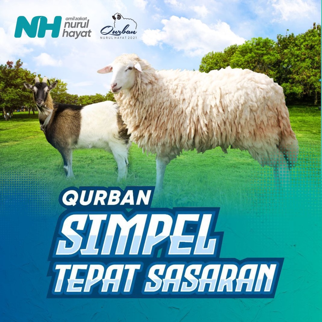 

Kambing/ Domba Qurban Standar Nurul Hayat