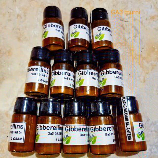 Giberelin Ga3 hormon tanaman serbuk 3gram