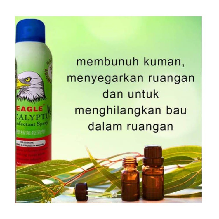 Cap Lang Eagle Eucalyptus Disinfectant Spray 280ml Caplang EDS 280 ml Membunuh Kuman WHS