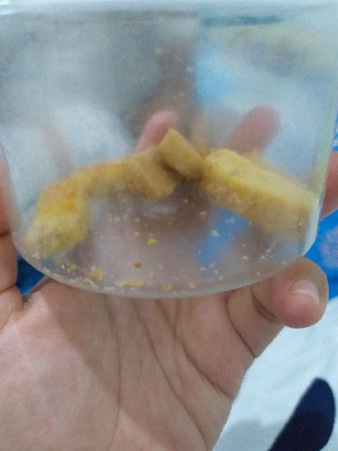 Toples Astor 10 Cm Tabung Plastik Kue Kering Kacang Permen Murah Bagus Botol Besar Jumbo Pendek