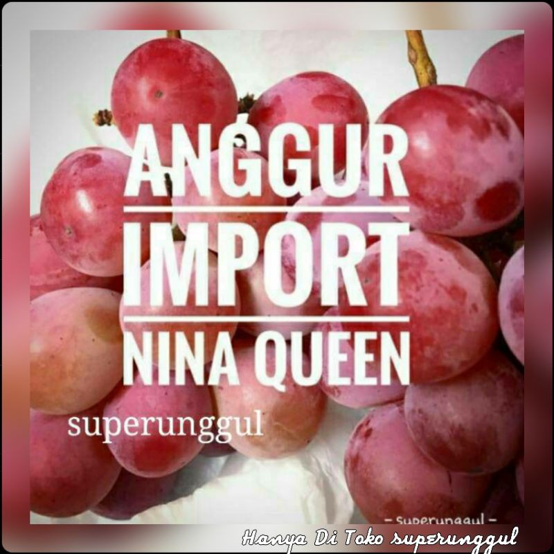 Bibit anggur import jenis nina quen