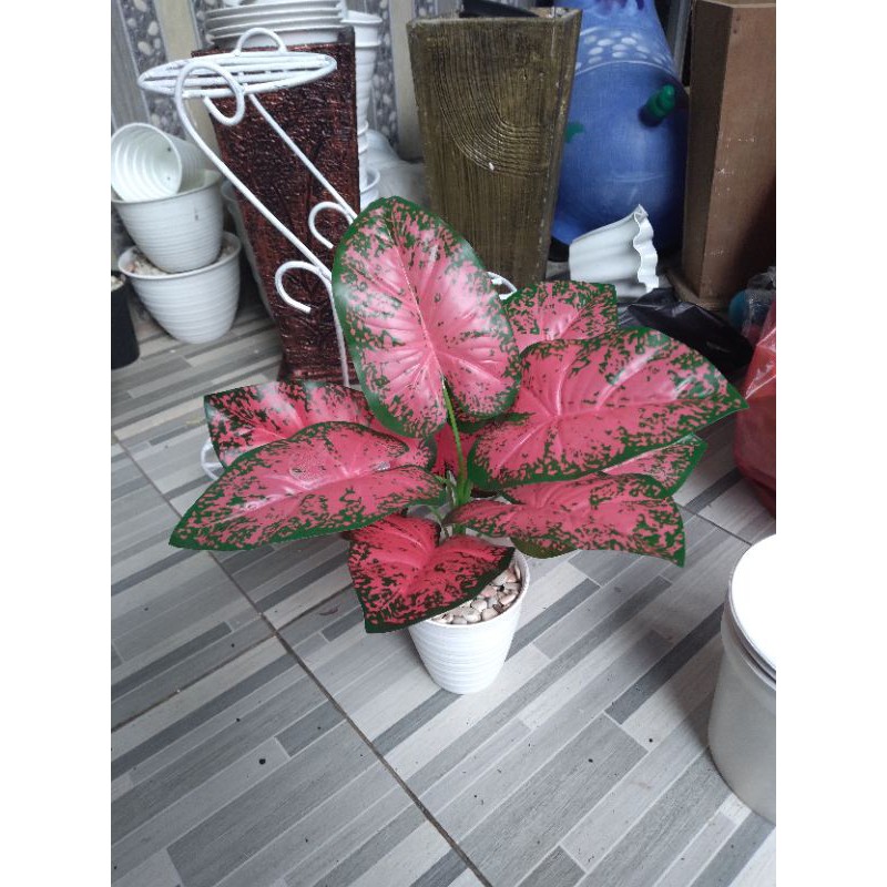 pohon keladi merah plastik, pohon plastik, tanaman plastik artificial