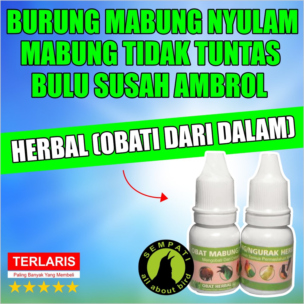 Obat Mabung Ngurak Herbal Dalam Sempati Obat Burung Sakit Mabung
