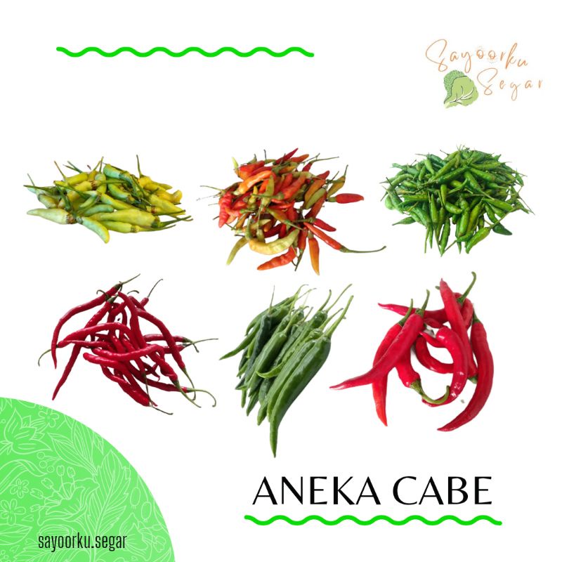 

KIRIM BESOK Cabe rawit merah / Cabe merah besar / Cabe Hijau besar / Cabe keriting / Cabe rawit hijau / Cabe lalap / Cabe Japlak