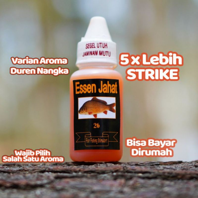 essen jahat untuk ikan mas, essen ikan mas paling dicari, essen ikan rame dan babon, Essen lomba