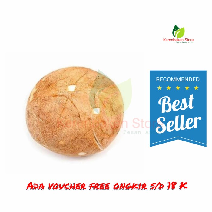 

kelapa bulat utuh