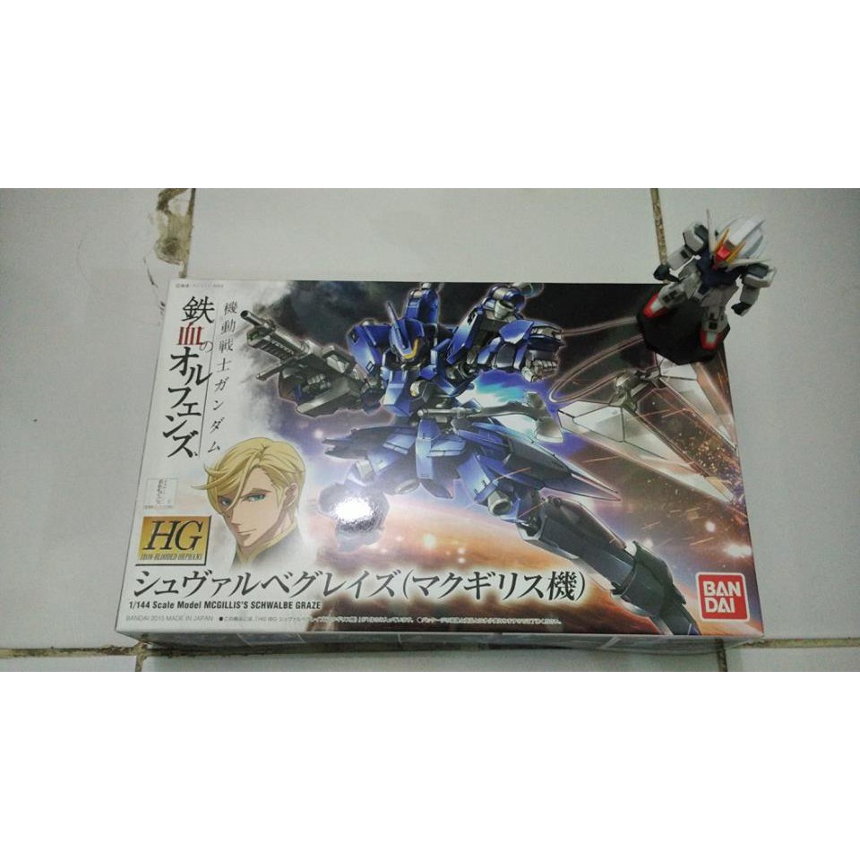 HG IBO Mc. Gillis + HG IBO Graze Kai for bro Ng Chai Chun