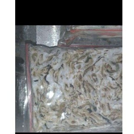 

cere laut beku 500 gr.