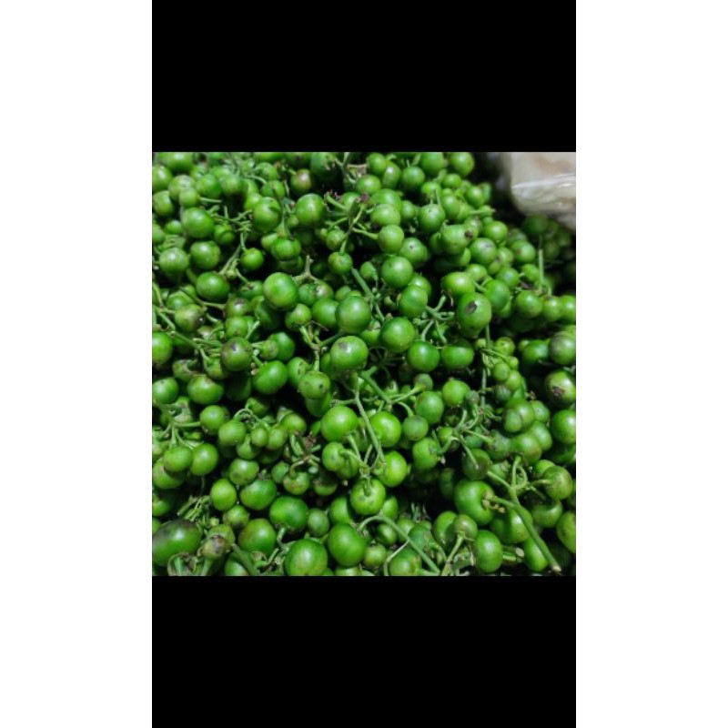 

Leunca 250g