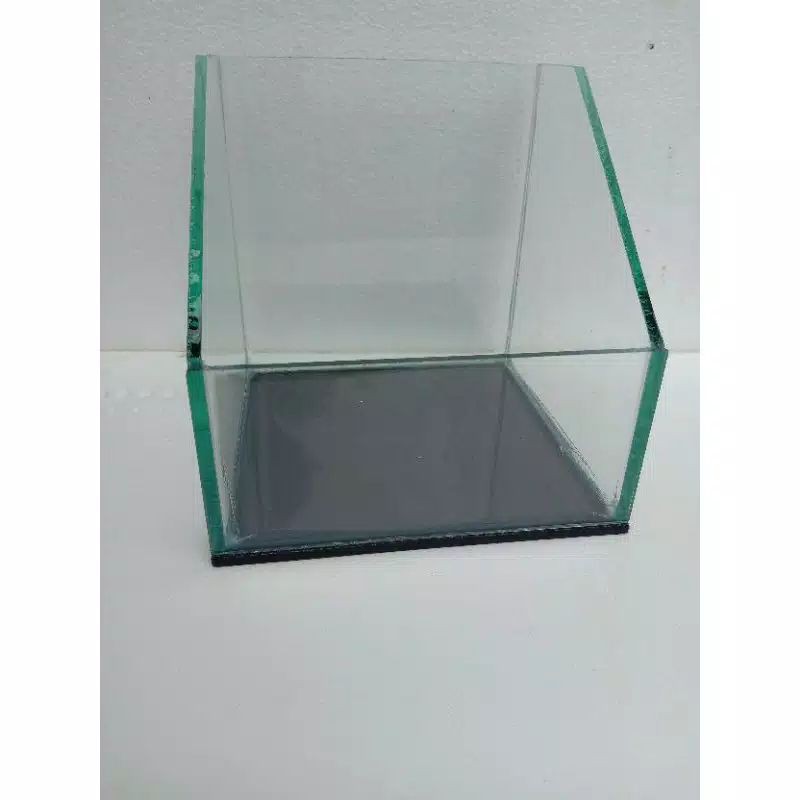 AQUARIUM PALUDARIUM 20X20X20 // Aquarium kaca // Aquascafe // Aquatic // aquarium