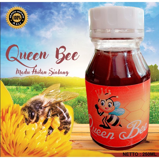 

MADU MURNI QUEEN BEE