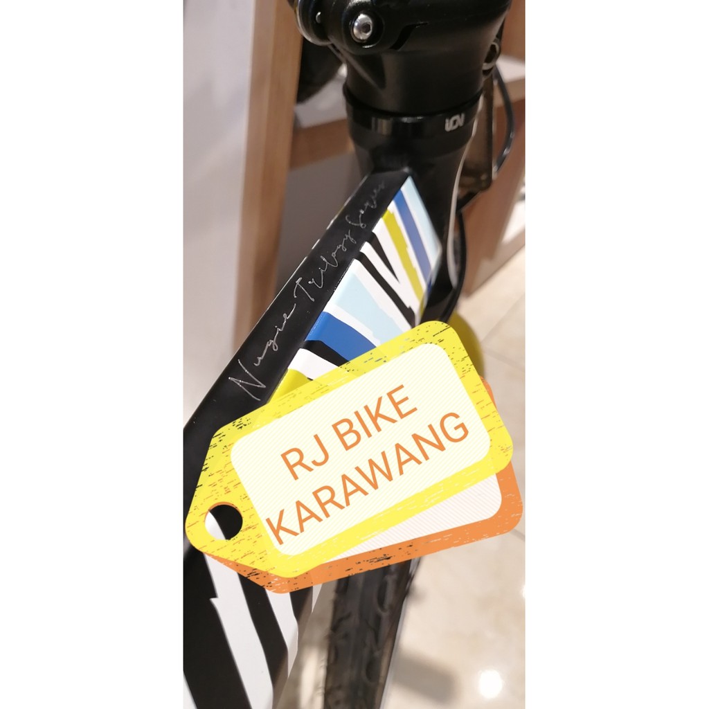 FOLDING ELEMENT 20 ECOSMO 9SPEED NUGIE SERIES