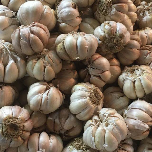 Bawang putih (1kg)