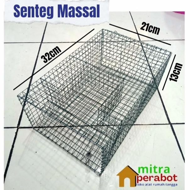 perangkap tikus masal jebakan tikus masal