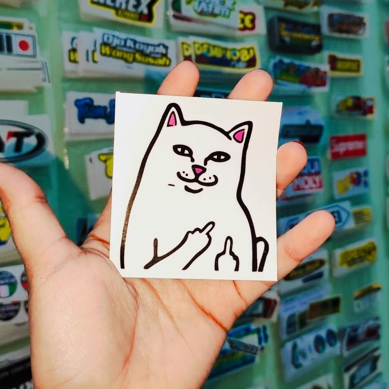 sticker printing ANIMASI KUCING