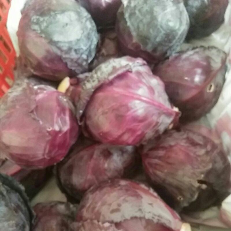 

kol merah 500g