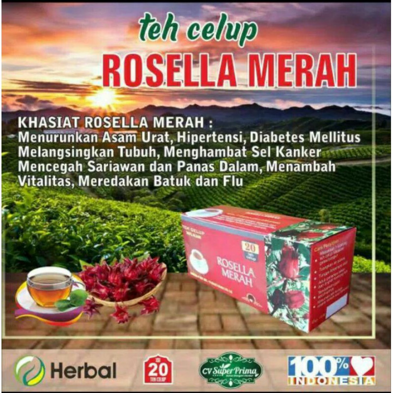 

teh celup ROSELLA MERAH mencegah sariawan & panas dalam