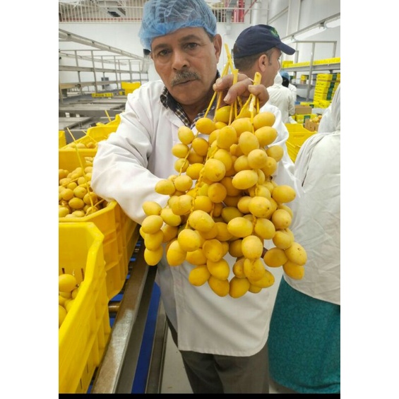 

kurma muda promil 250gr