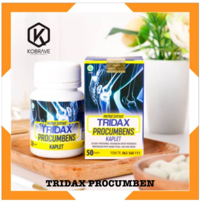 TRIDAX PROCUMBENS Original Obat Herbal Saraf Kejepit Asam Urat Pegal Linu Nyeri Sendi Encok Rematik Ampuh