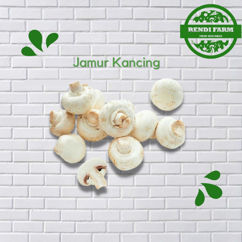 Jual JAMUR KANCING/ JAMUR KANCING SEGAR/ JAMUR/ JAMUR CHAMPIGNON FRESH