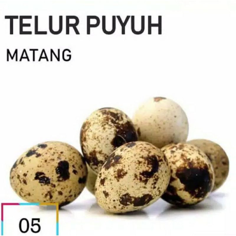 

Telur puyuh matang / telur puyuh murah Pasar segar depok